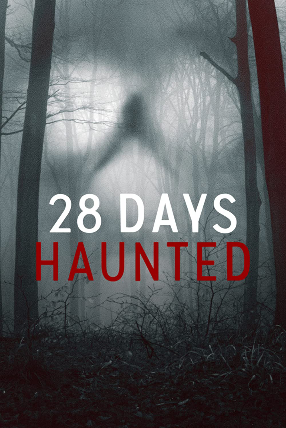 Banner Phim 28 Ngày Ma Ám (28 Days Haunted)