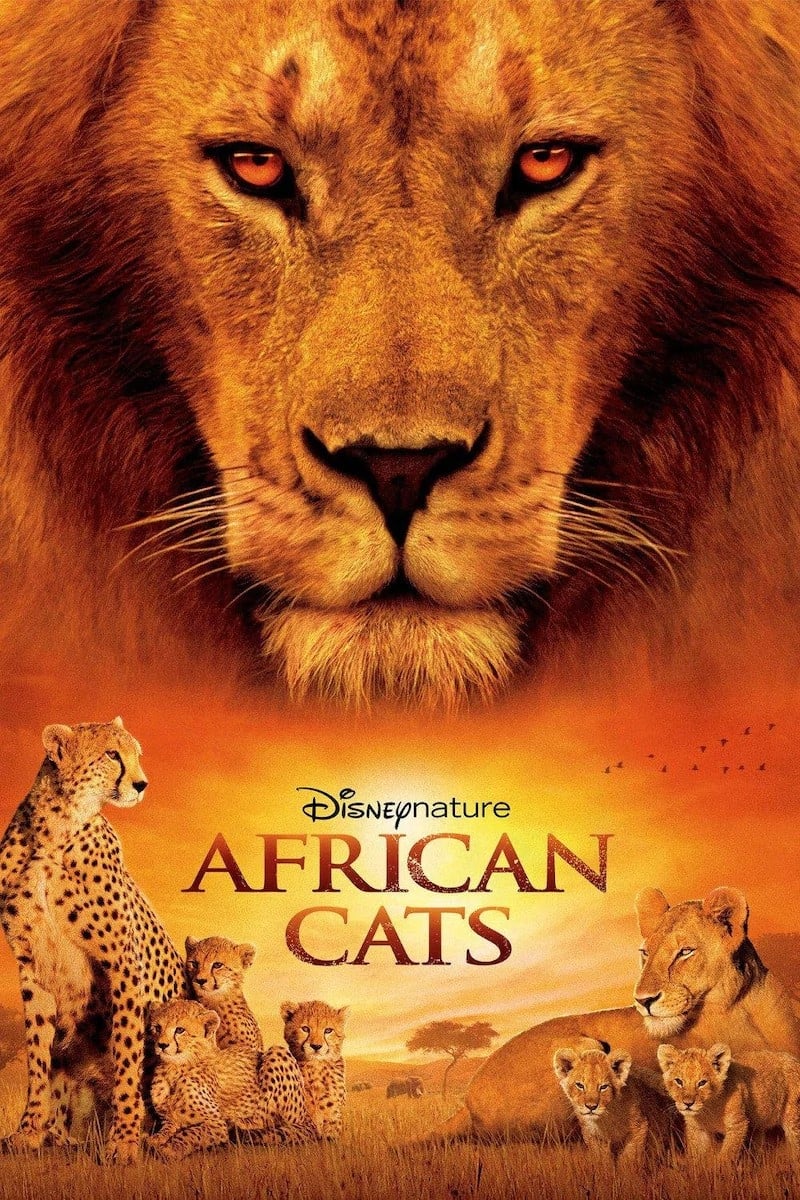 Banner Phim African Cats (African Cats)