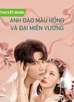 Banner Phim Anh Đào Màu Hồng Và Đại Miên Vương (Why Women Cheat (Vietnamese Ver.))