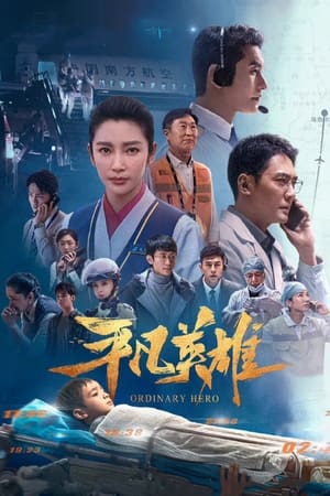 Banner Phim Anh Hùng Đời Thường (Ordinary Hero)