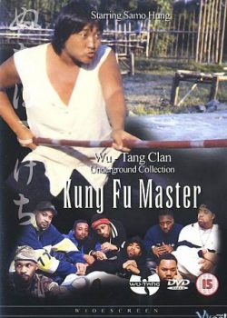 Banner Phim Bậc Thầy Kungfu (The Incredible Kung Fu Master)