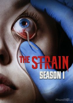 Banner Phim Bệnh Dịch Ma Cà Rồng Chủng virus Phần 1 (The Strain Season 1)