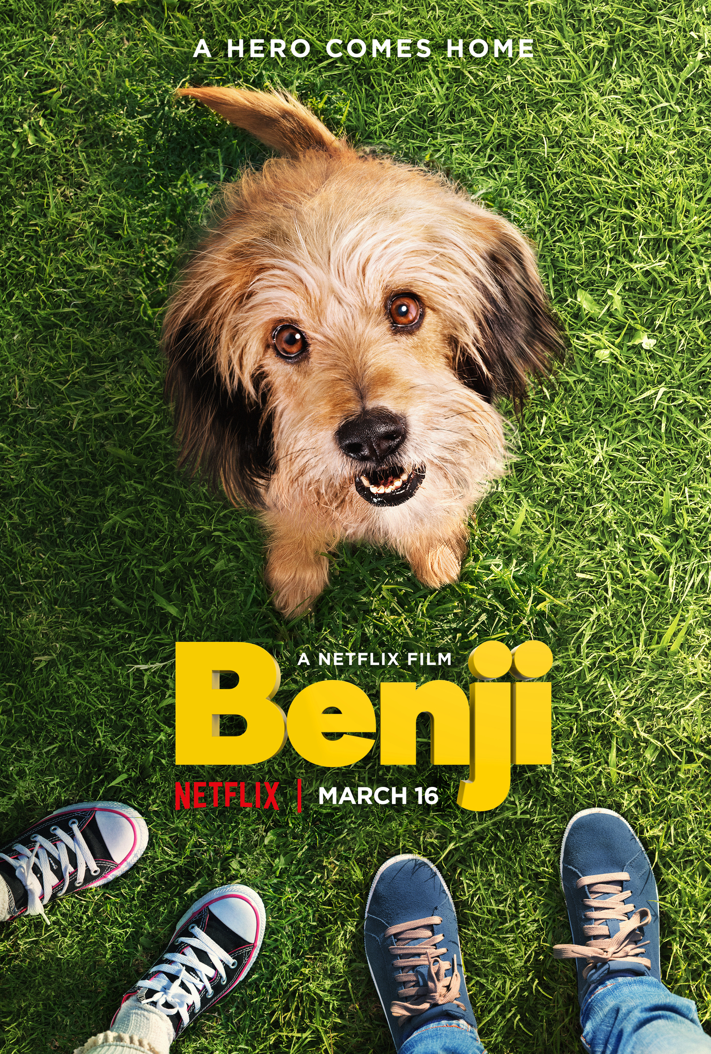 Banner Phim Benji (Benji)