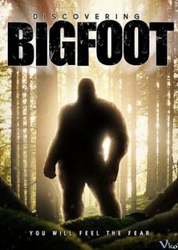 Banner Phim Bí Ẩn Bigfoot (Discovering Bigfoot)