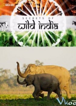 Banner Phim Bí Ẩn Thế Giới Hoang Dã Ấn Độ: Vương Quốc Loài Voi (Secrets Of Wild India: Elephant Kingdom)