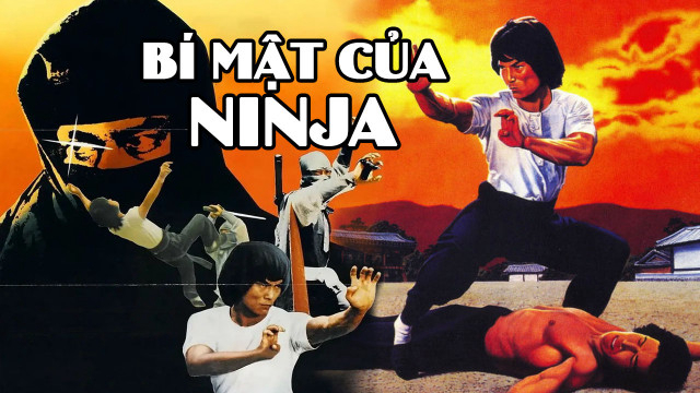 Banner Phim Bí Mật Của Ninja (Ninja Knight 2: Roaring Tiger)