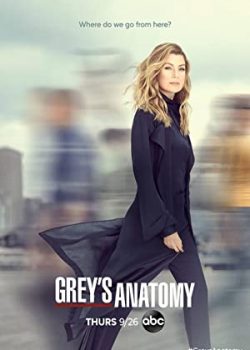 Banner Phim Ca Phẫu Thuật Của Grey Phần 14 (Grey's Anatomy Season 14)