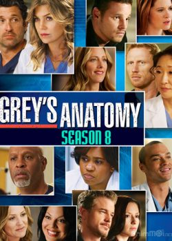 Banner Phim Ca Phẫu Thuật Của Grey Phần 8 (Grey's Anatomy Season 8)