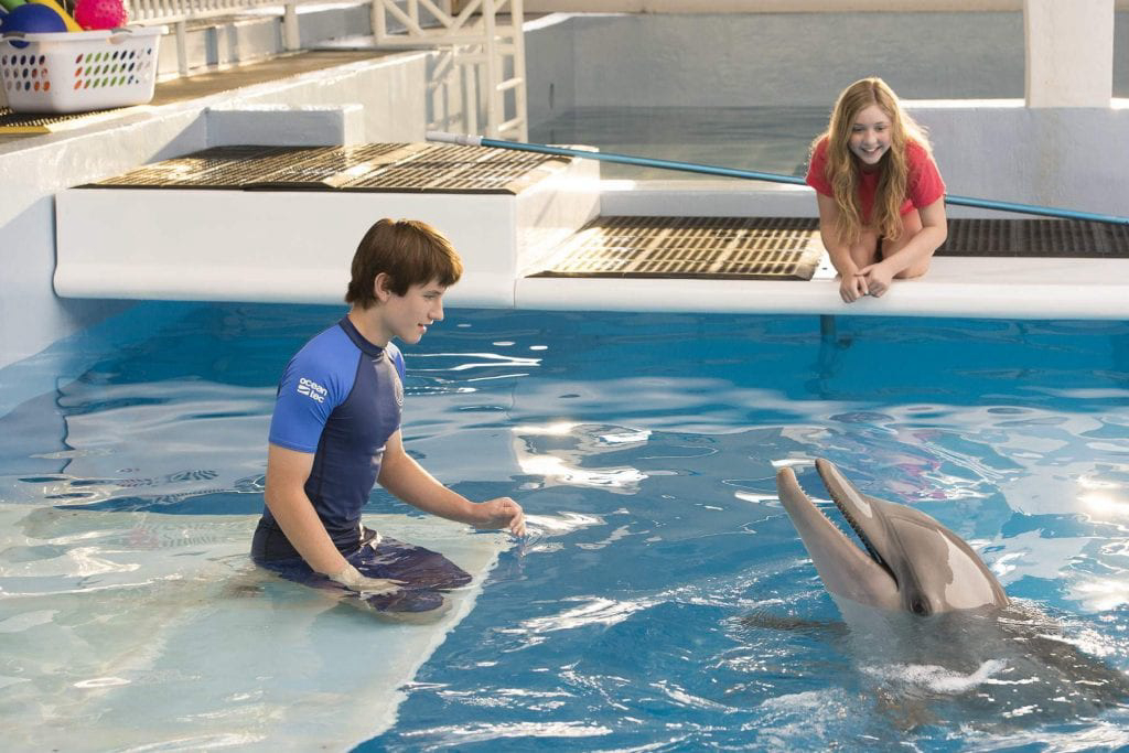 Xem Phim Câu Chuyện Cá Heo (Dolphin Tale)