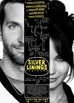 Banner Phim Câu Chuyện Nhiều May Mắn (Silver Linings Playbook)