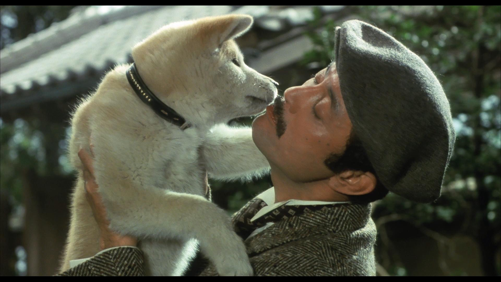 Banner Phim Câu Chuyện Về Chú Chó Hachiko (Hachi-ko)