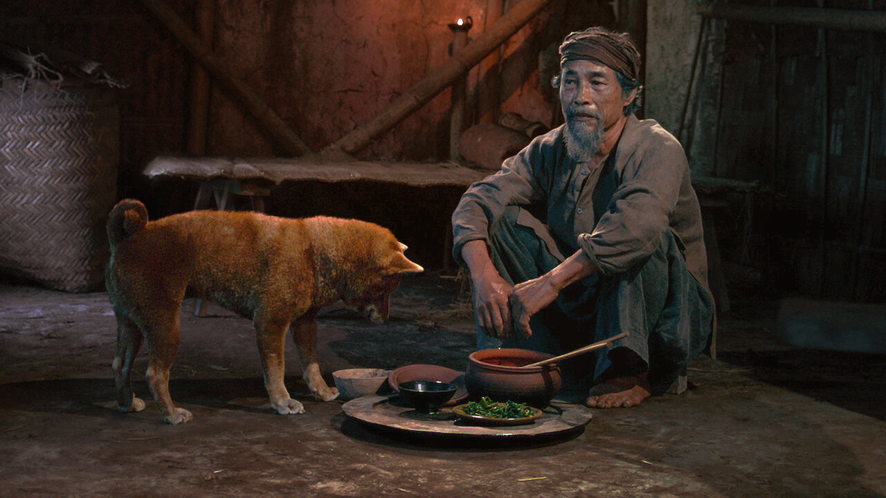 Xem Phim Cậu Vàng (The Old Man's Dog)