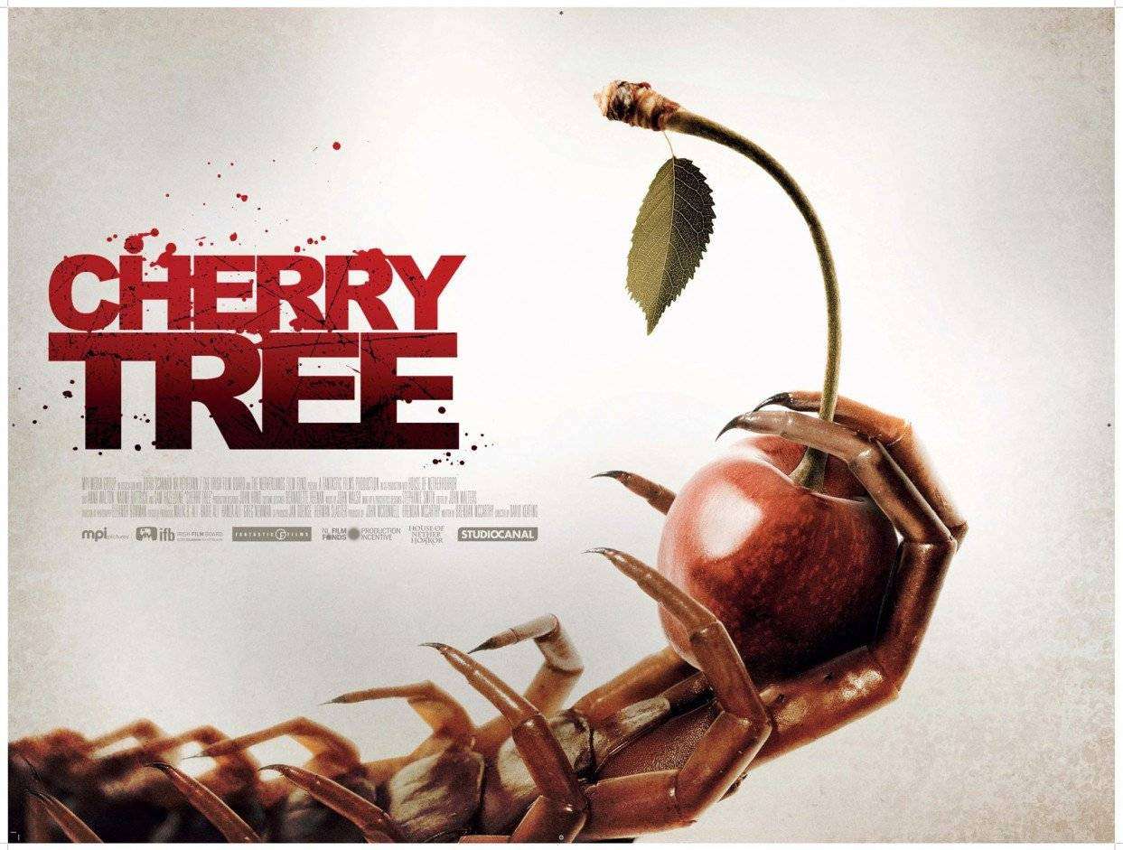 Banner Phim Cây Anh Đào (Cherry Tree)