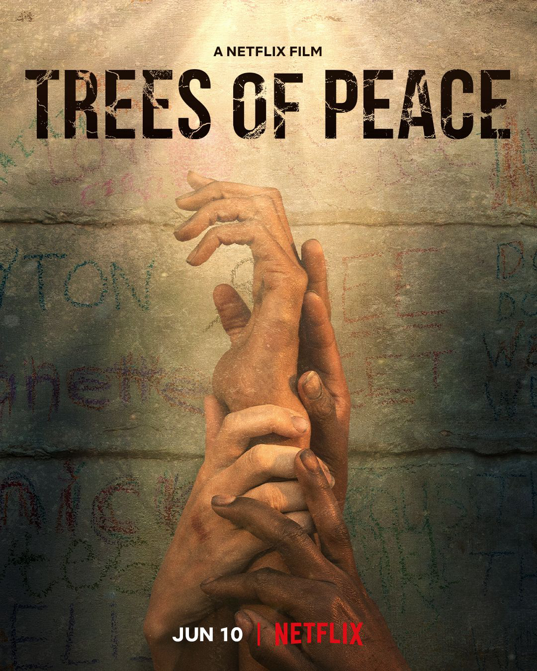 Banner Phim Cây Hòa Bình (Trees Of Peace)