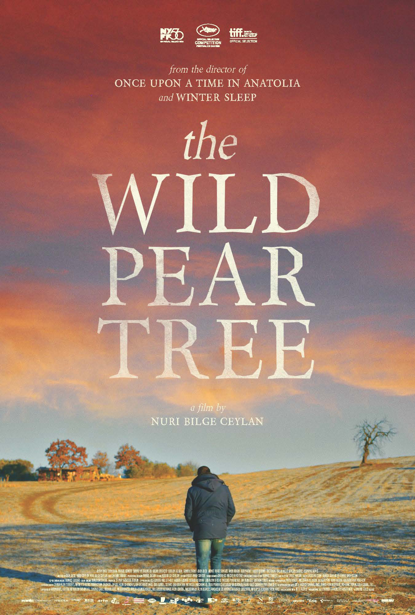 Banner Phim Cây Lê Dại (The Wild Pear Tree)