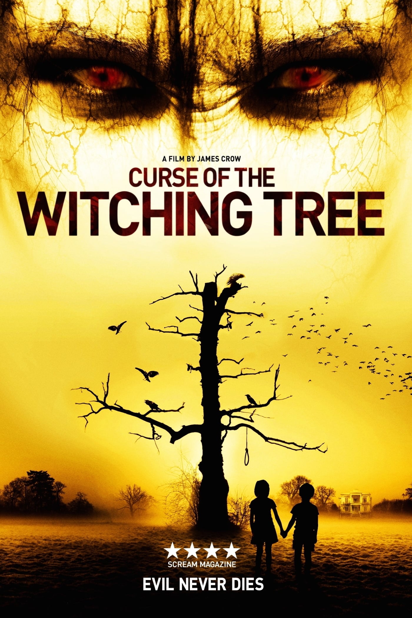 Banner Phim Cây Phù Thủy (Curse of the Witching Tree)