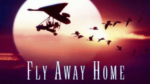 Xem Phim CHẮP CÁNH BAY XA  (Fly Away Home)