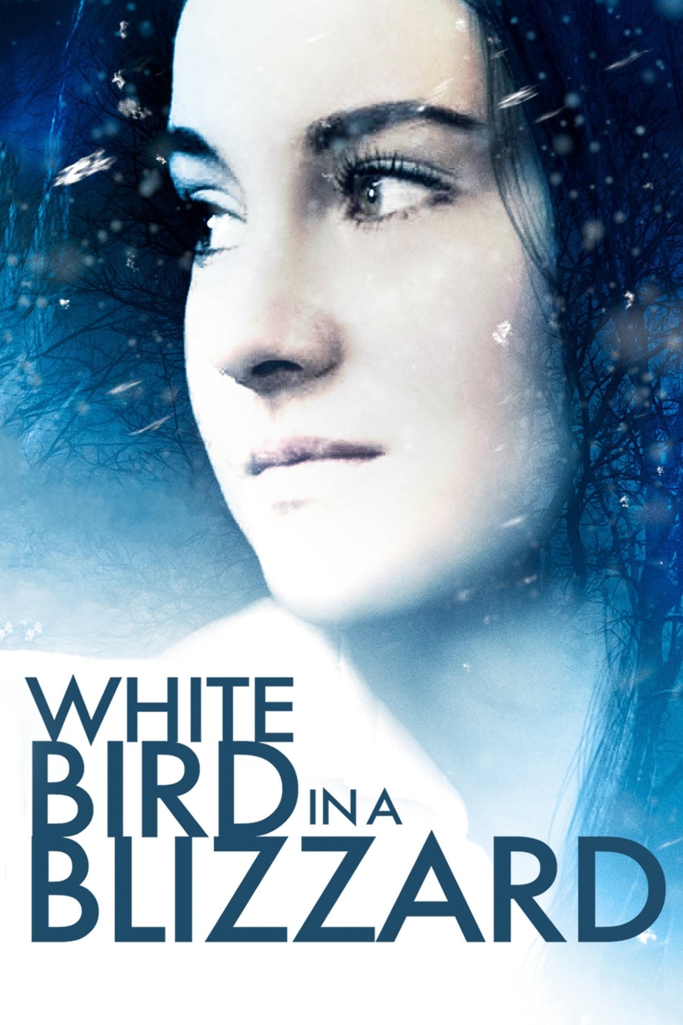 Banner Phim Chim Trắng Giữa Bão Tuyết (White Bird in a Blizzard)