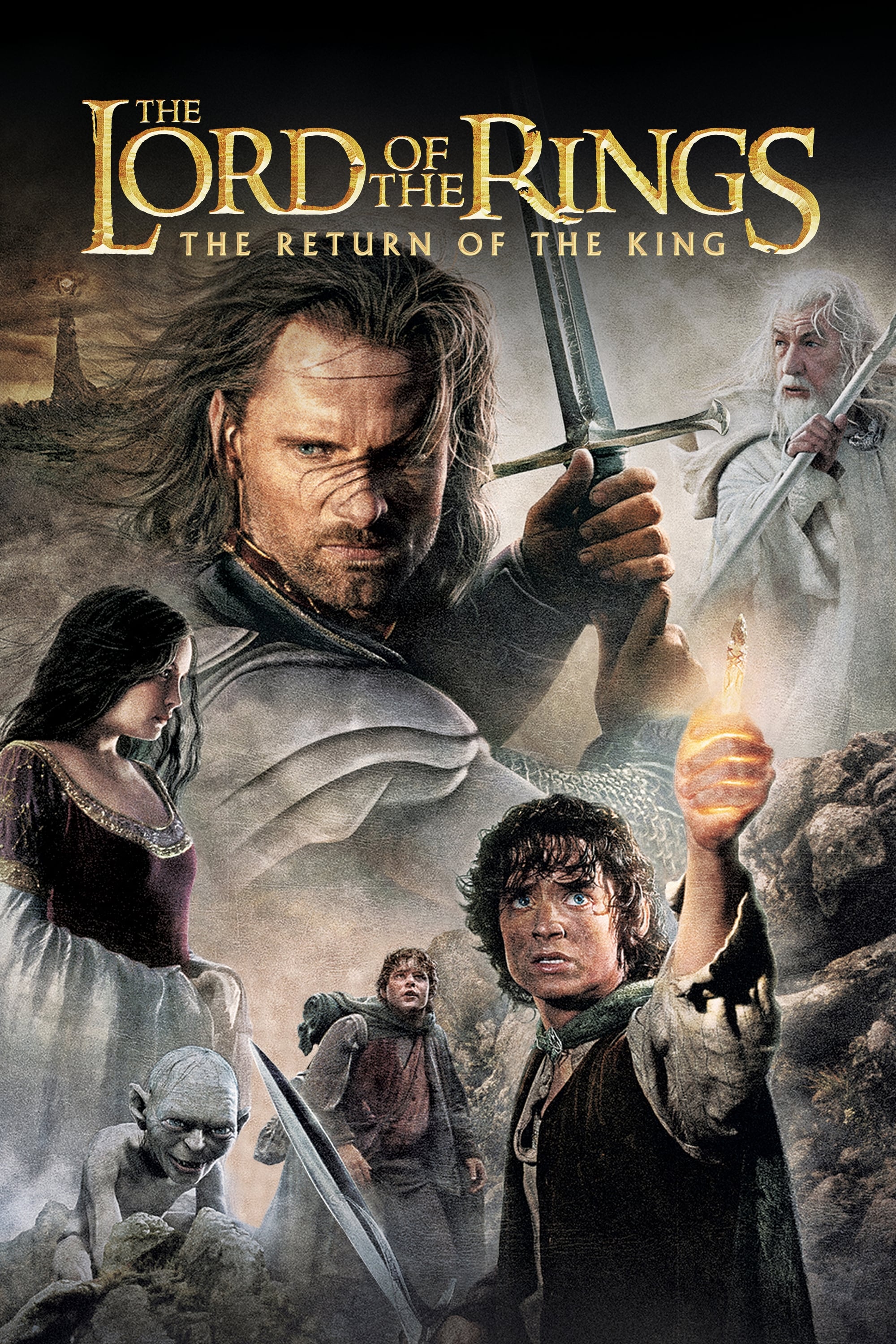 Banner Phim Chúa Tể Của Những Chiếc Nhẫn: Sự Trở Lại Của Nhà Vua (The Lord of the Rings: The Return of the King)