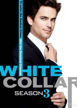 Banner Phim Cổ Cồn Trắng Phần 3 (White Collar Season 3)
