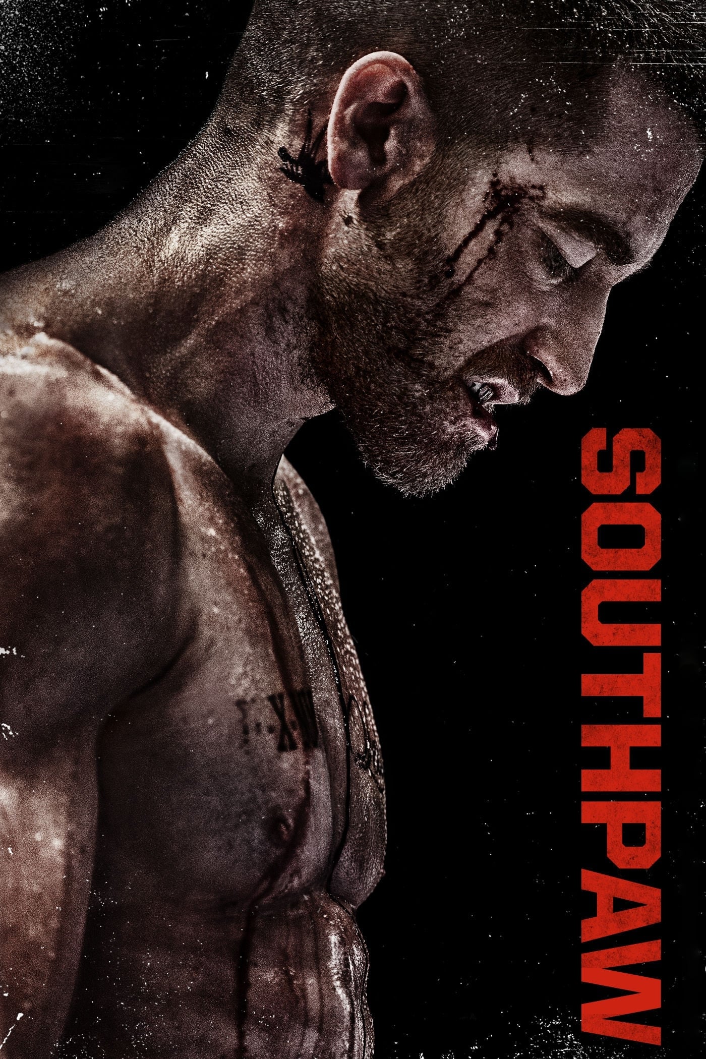 Banner Phim Con Đường Võ Sĩ (Southpaw)