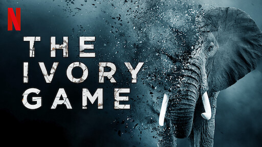 Banner Phim Cuộc chiến ngà voi (The Ivory Game)