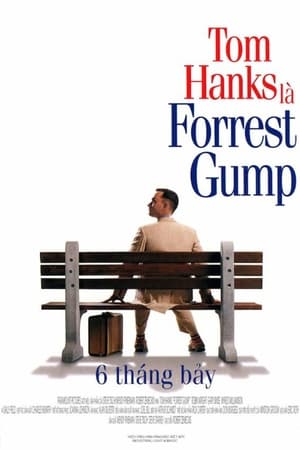 Banner Phim Cuộc Đời Forrest Gump (Forrest Gump)