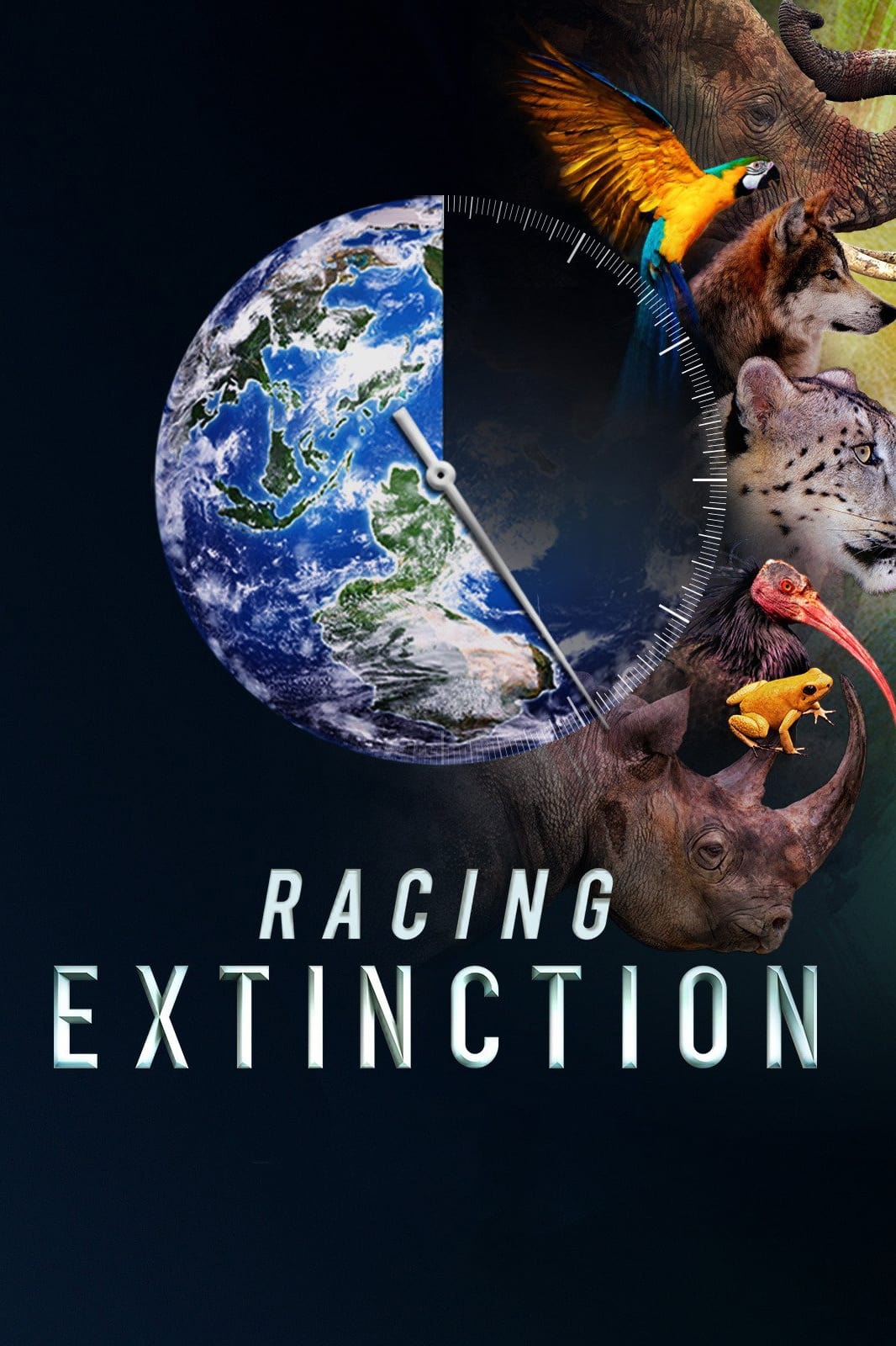 Banner Phim Cuộc Đua Tuyệt Chủng (Racing Extinction)