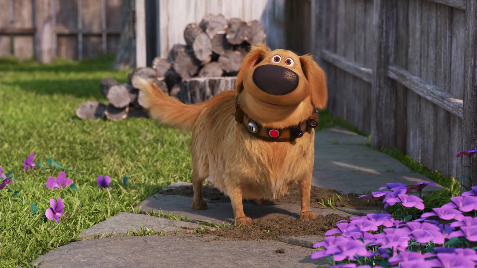 Xem Phim Cuộc Phiêu Lưu Của Dug (Dug Days)