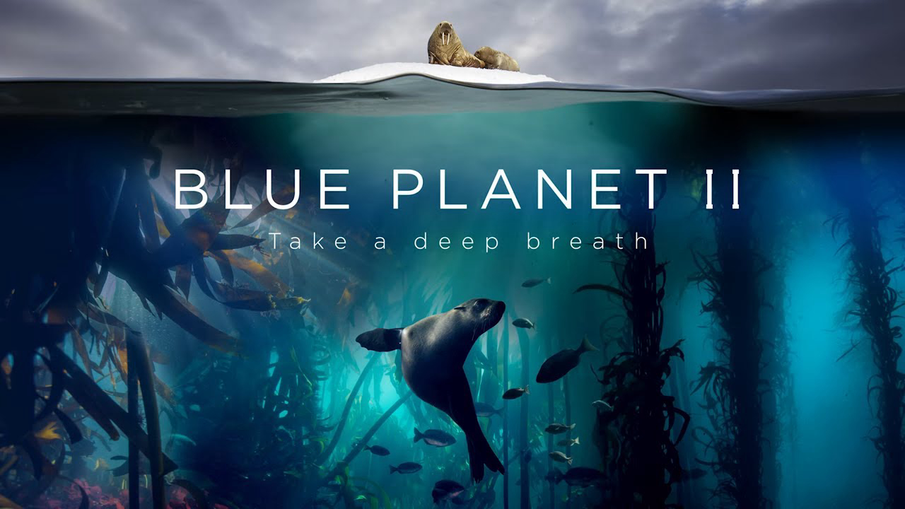 Xem Phim Đại Dương Sâu Thẳm 2 (The Blue Planet 2)