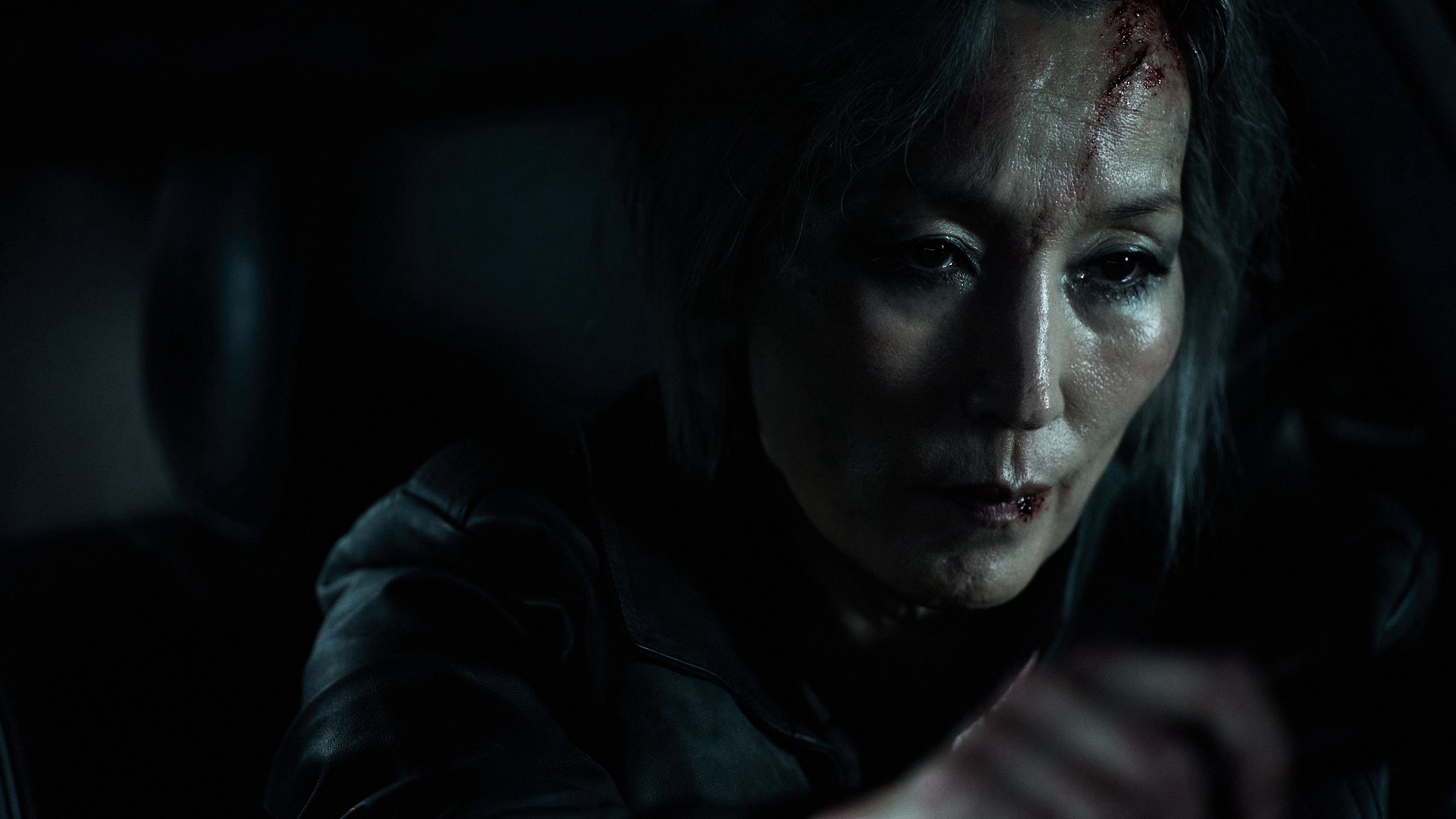 Xem Phim Đại Mẫu (The Old Woman with the Knife)