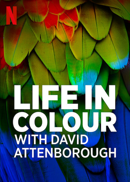 Banner Phim David Attenborough: Sự Sống Đầy Màu Sắc (Life In Colour With David Attenborough)