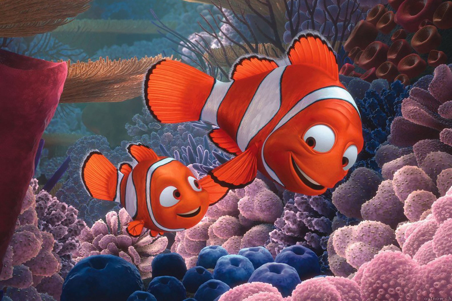 Banner Phim Đi Tìm Nemo (Finding Nemo)