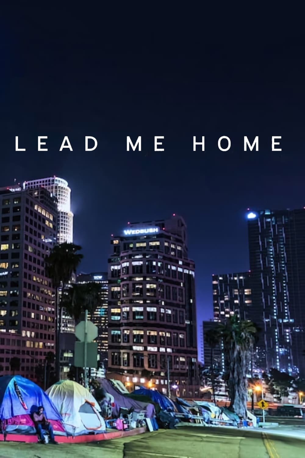 Banner Phim Đưa tôi về nhà (Lead Me Home)