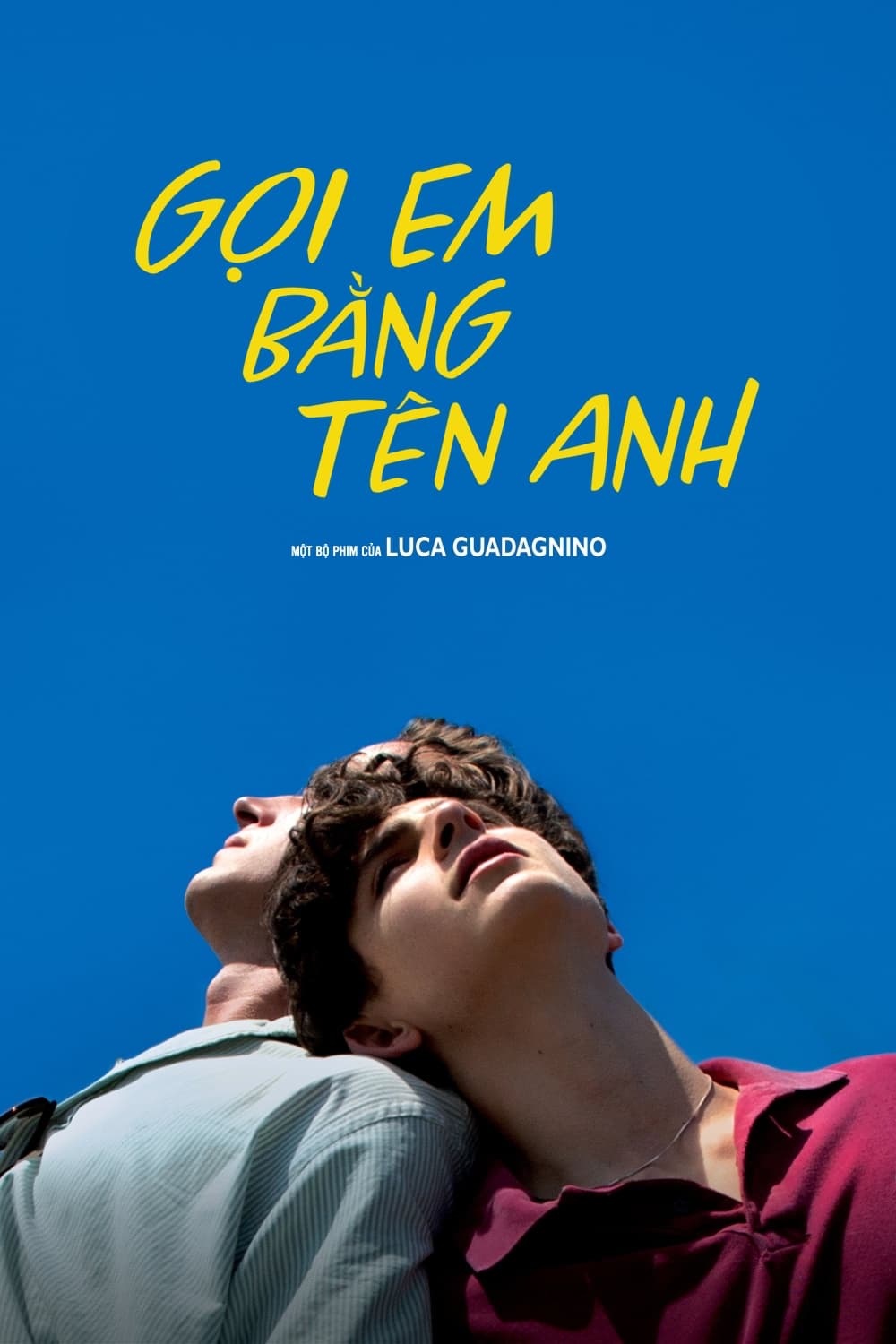 Banner Phim Gọi Em Bằng Tên Anh (Call Me by Your Name)