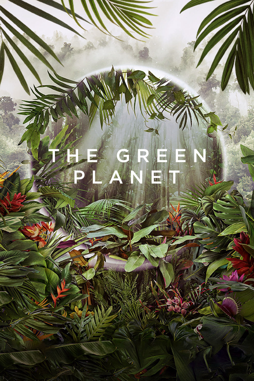 Banner Phim Hành Tinh Xanh (The Green Planet)