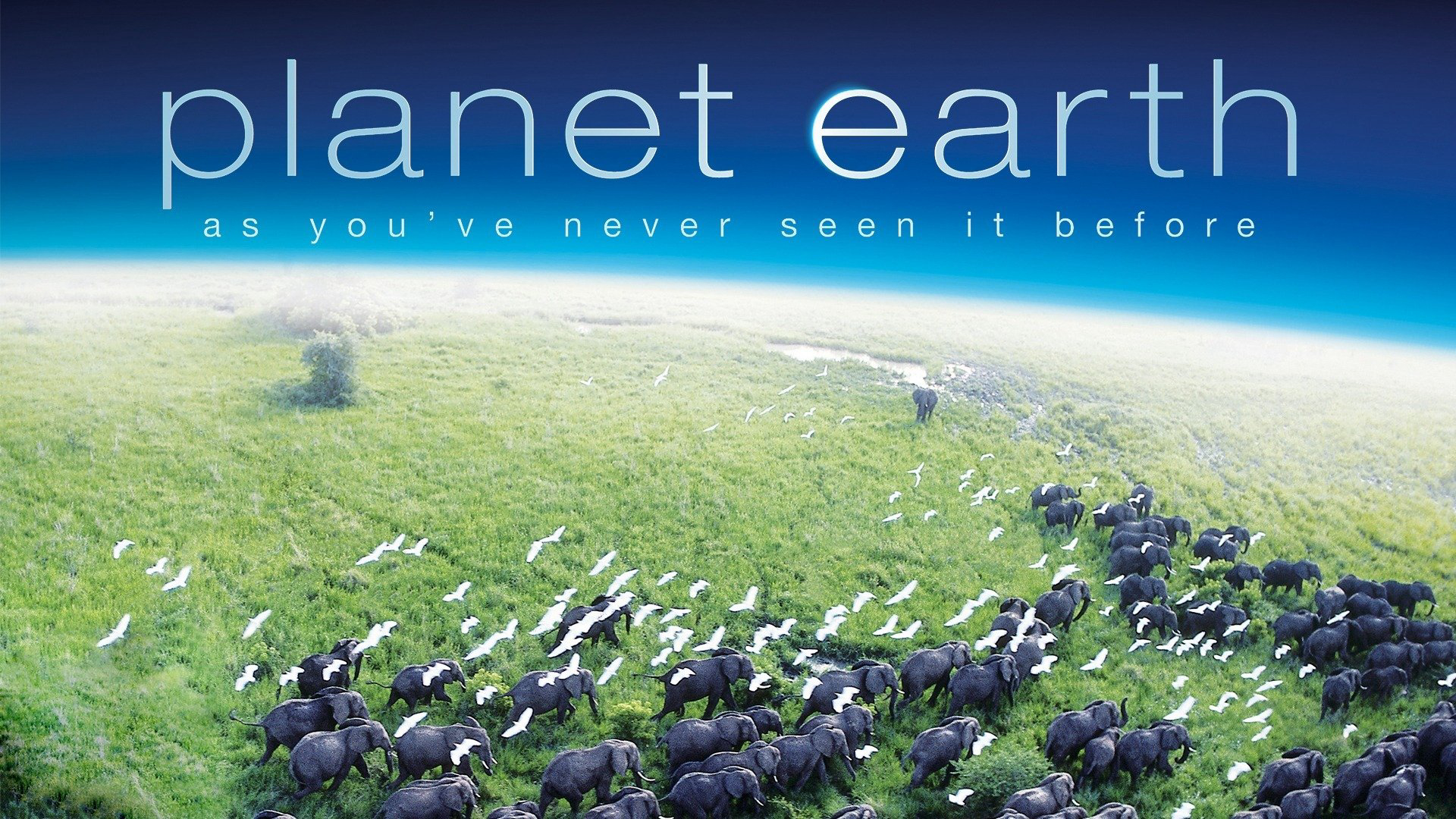 Banner Phim Hành Trình Trái Đất (Planet Earth)