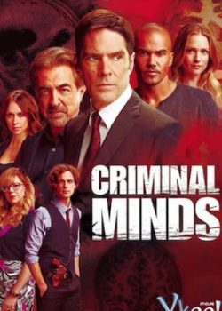Banner Phim Hành Vi Phạm Tội Phần 8 (Criminal Minds Season 8)