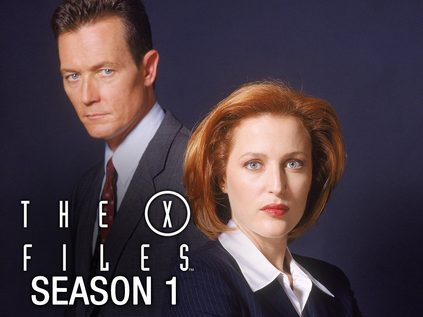 Banner Phim Hồ Sơ Tuyệt Mật (Phần 1) (The X-Files (Season 1))