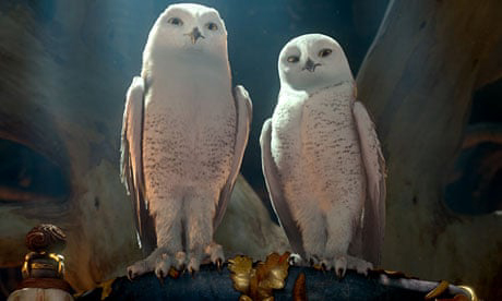 Xem Phim Hộ Vệ Xứ GaHoole (Legend Of The Guardians: The Owls Of Ga'Hoole)