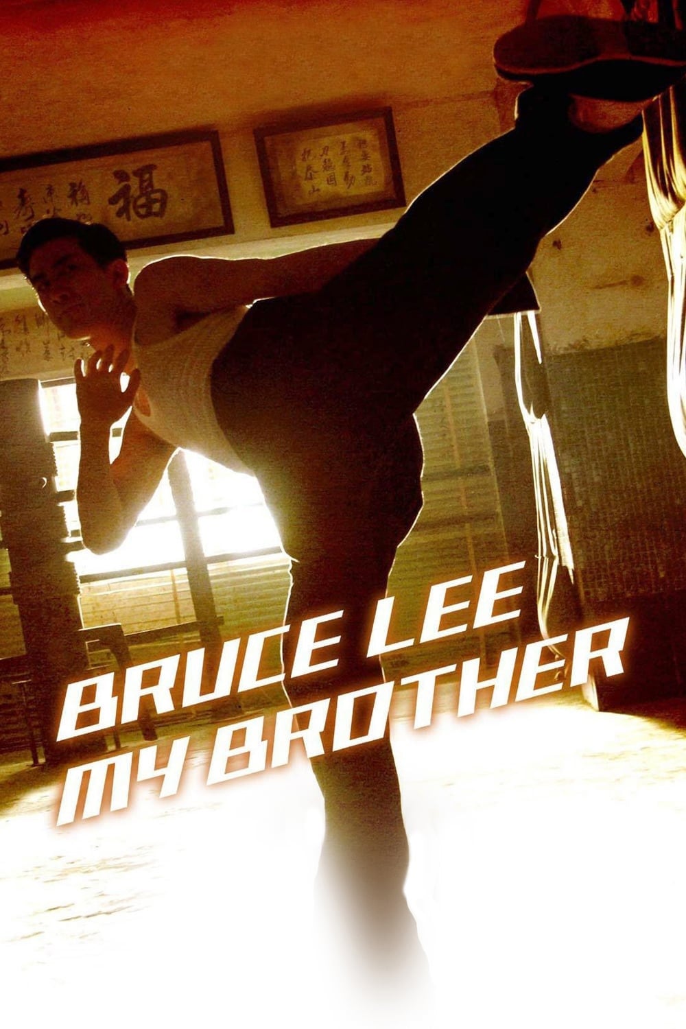 Banner Phim Huyền Thoại Lý Tiểu Long (Bruce Lee, My Brother)