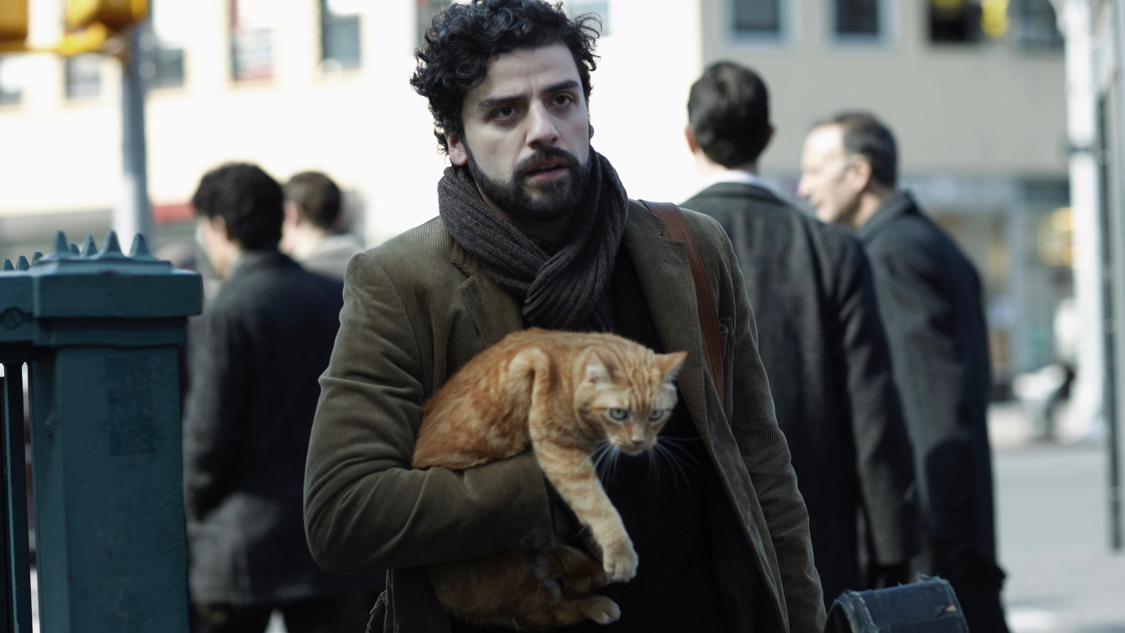 Xem Phim Inside Llewyn Davis (Inside Llewyn Davis)