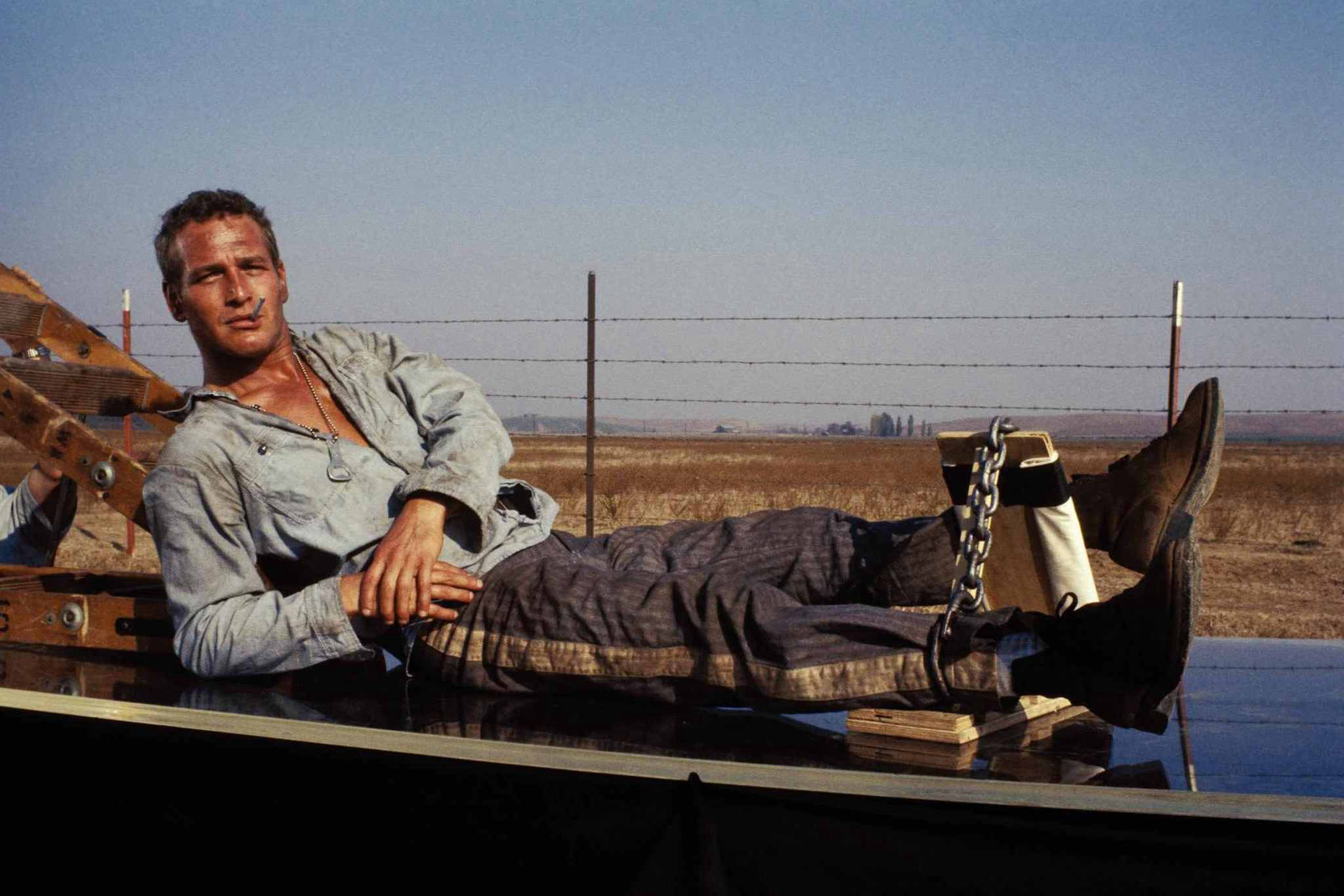 Banner Phim Kẻ Trơ Tráo (Cool Hand Luke)