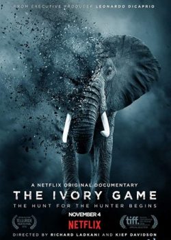 Banner Phim Kẻ Trộm Ngà Voi (The Ivory Game)