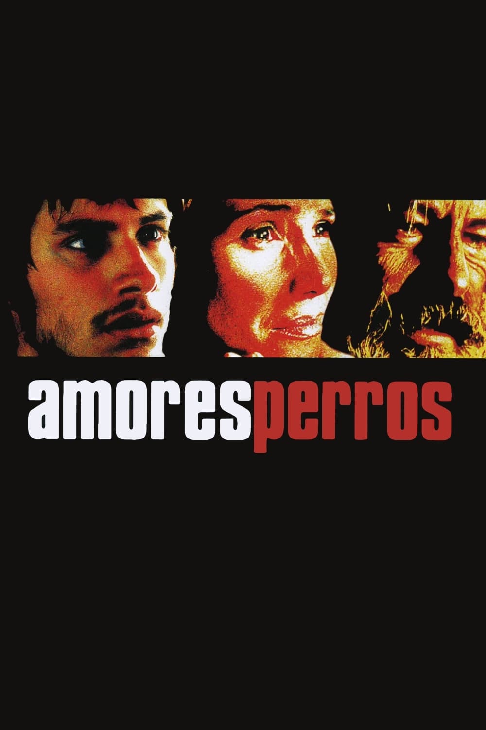 Banner Phim Kẻ Vô Đạo (Amores perros)