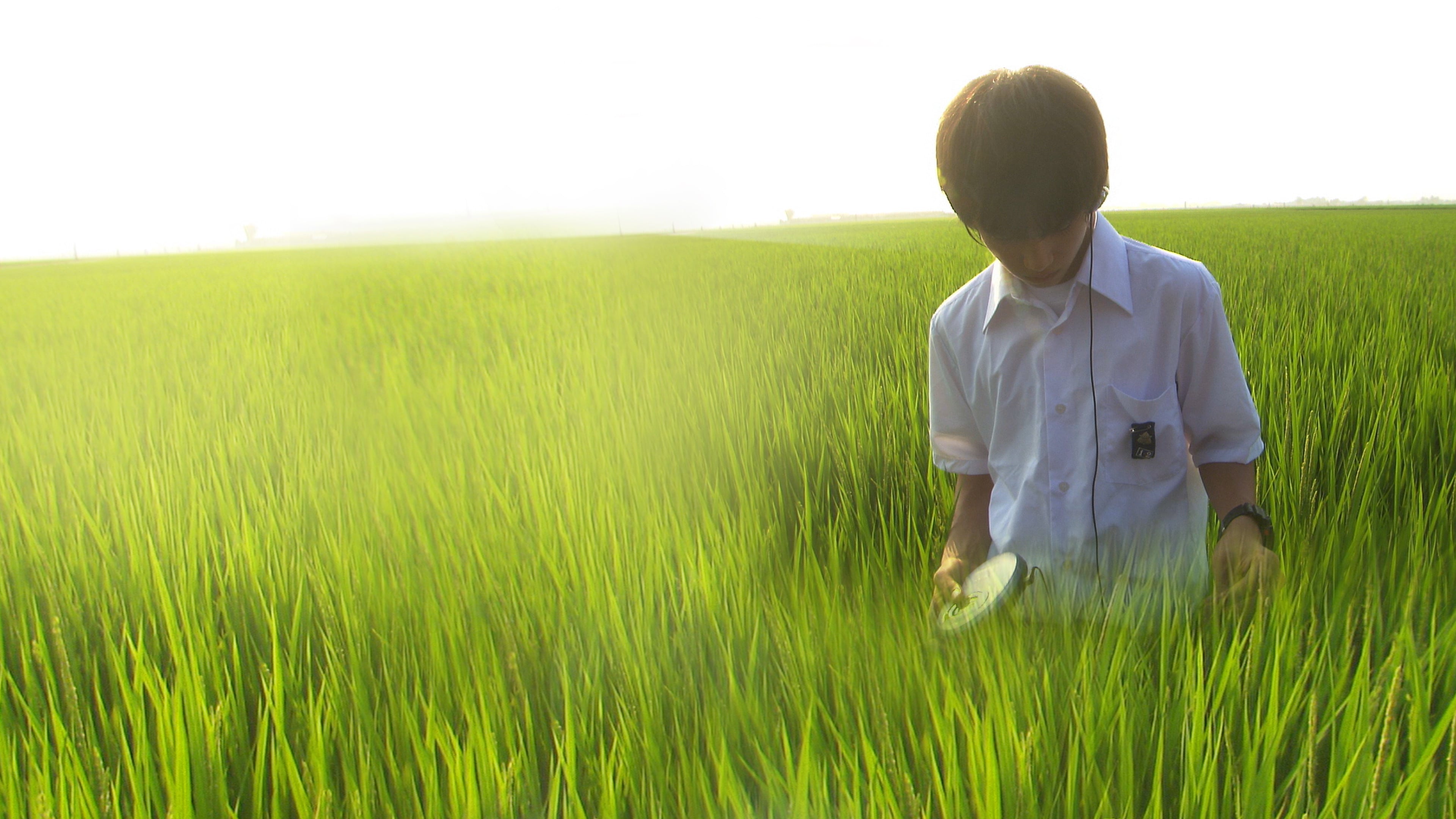 Banner Phim Khúc Cầu Siêu Của Tuổi Trẻ (All About Lily Chou-chou)