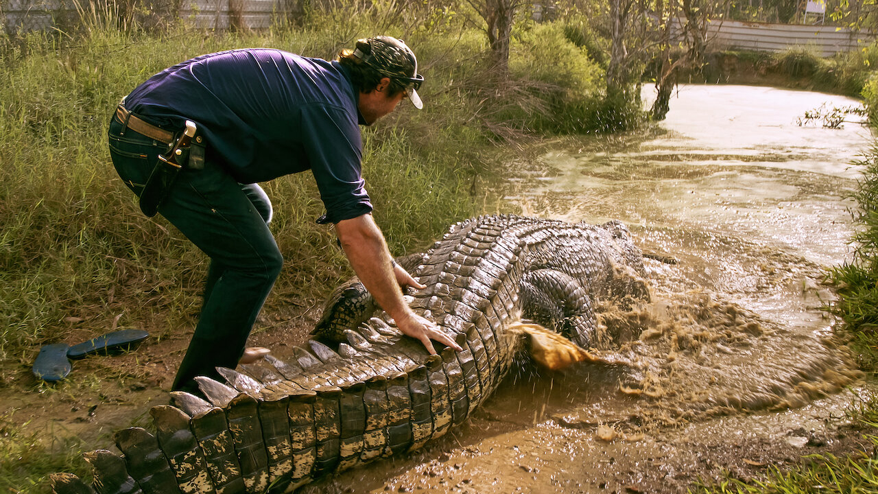 Xem Phim Lãnh địa cá sấu hoang (Wild Croc Territory)