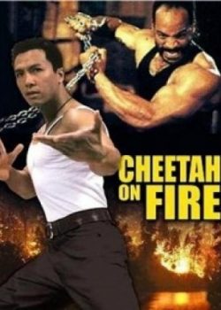 Banner Phim Liệp Báo Hành Động (Cheetah On Fire)