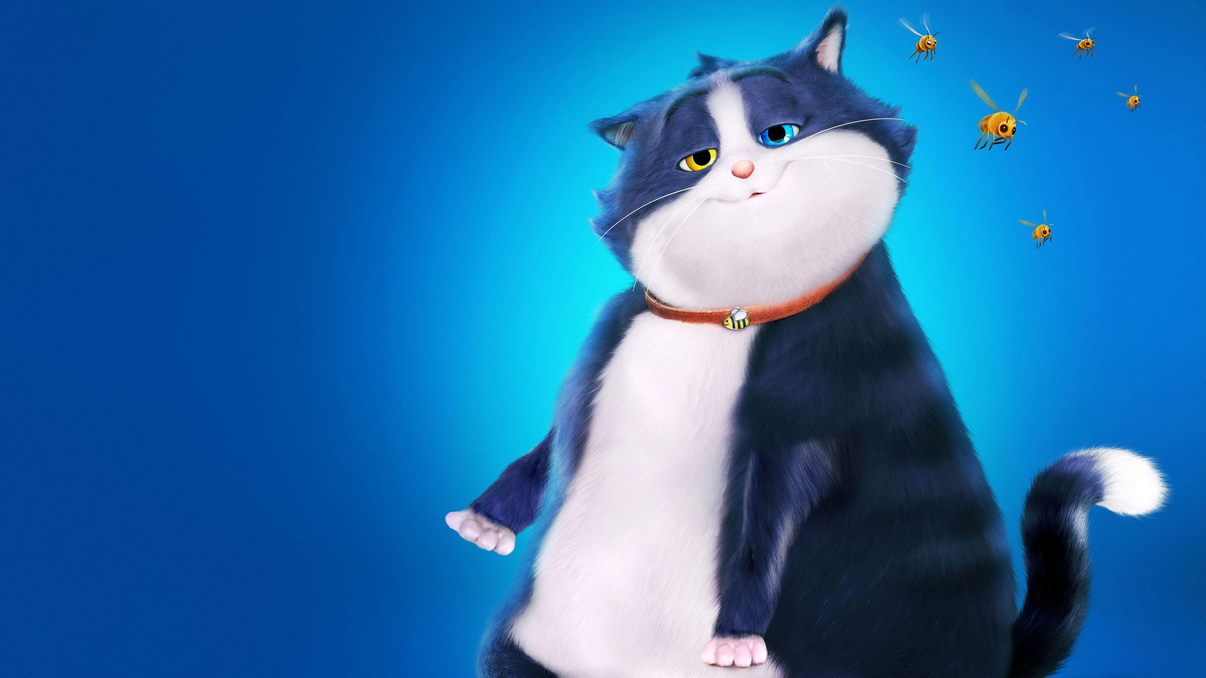 Xem Phim Mèo Mập Mang 10 Mạng (10 Lives)