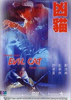 Banner Phim Miêu Quỷ (Evil Cat)